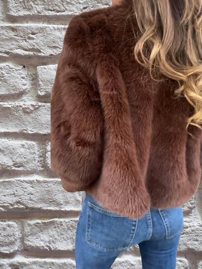 Veste Femme Courte Zippée Manches Longues Avec Fausse Fourrure - Image 7